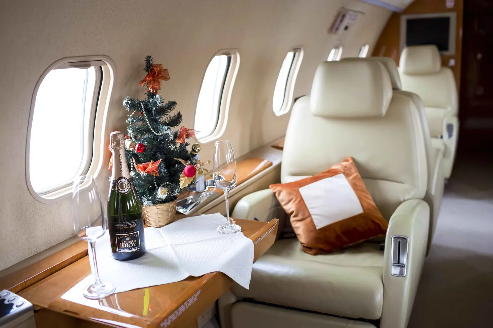 Bombardier Challenger 300 RA-67224 operated by Jetport Charters photo 5