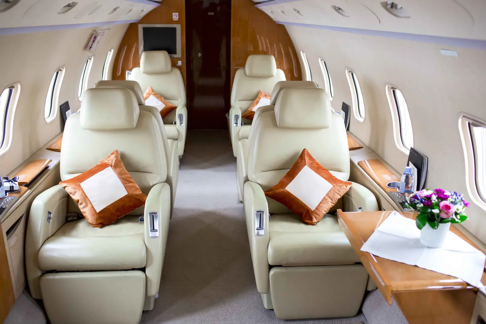 Bombardier Challenger 300 RA-67224 operated by Jetport Charters photo 6