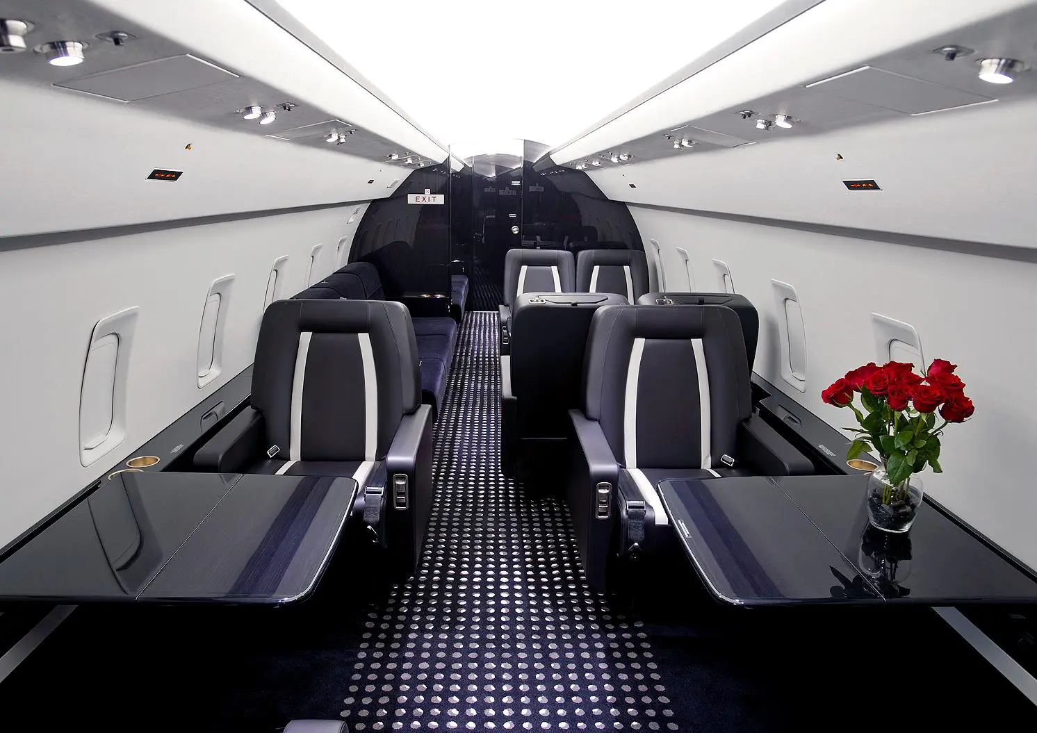 Bombardier Challenger 850 RA-67247 operated by Air Express photo 2