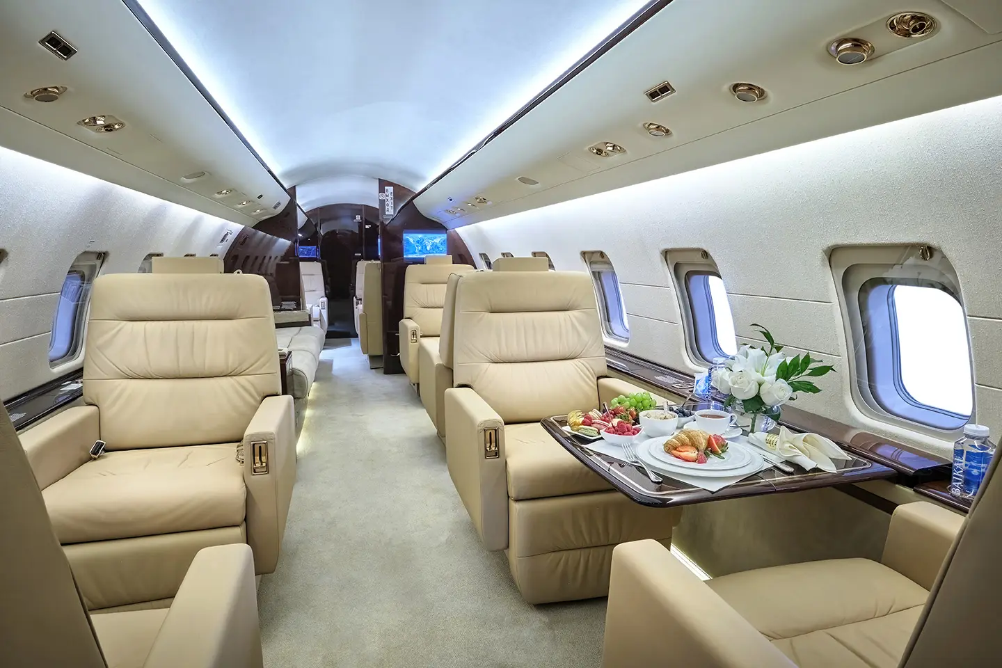 Bombardier Challenger 850 RA-73532 operated by Tulpar Aero Group Ltd. photo 2