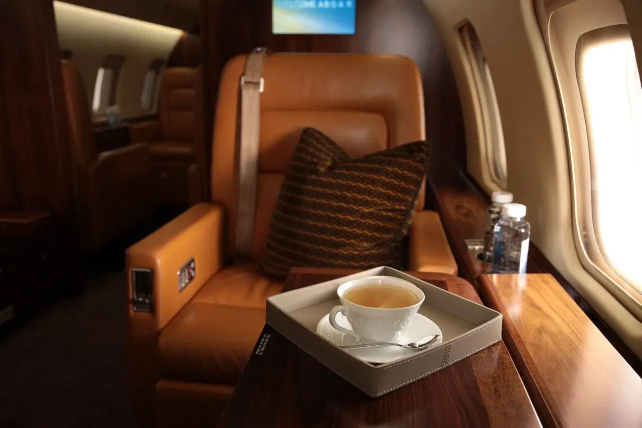 Bombardier Challenger 850 RA-73535 operated by DreamJet photo 6