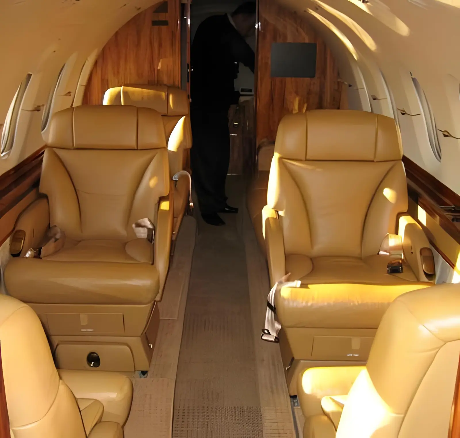 Beechcraft Hawker 800XP TC-ADO operated by Adoair photo 2