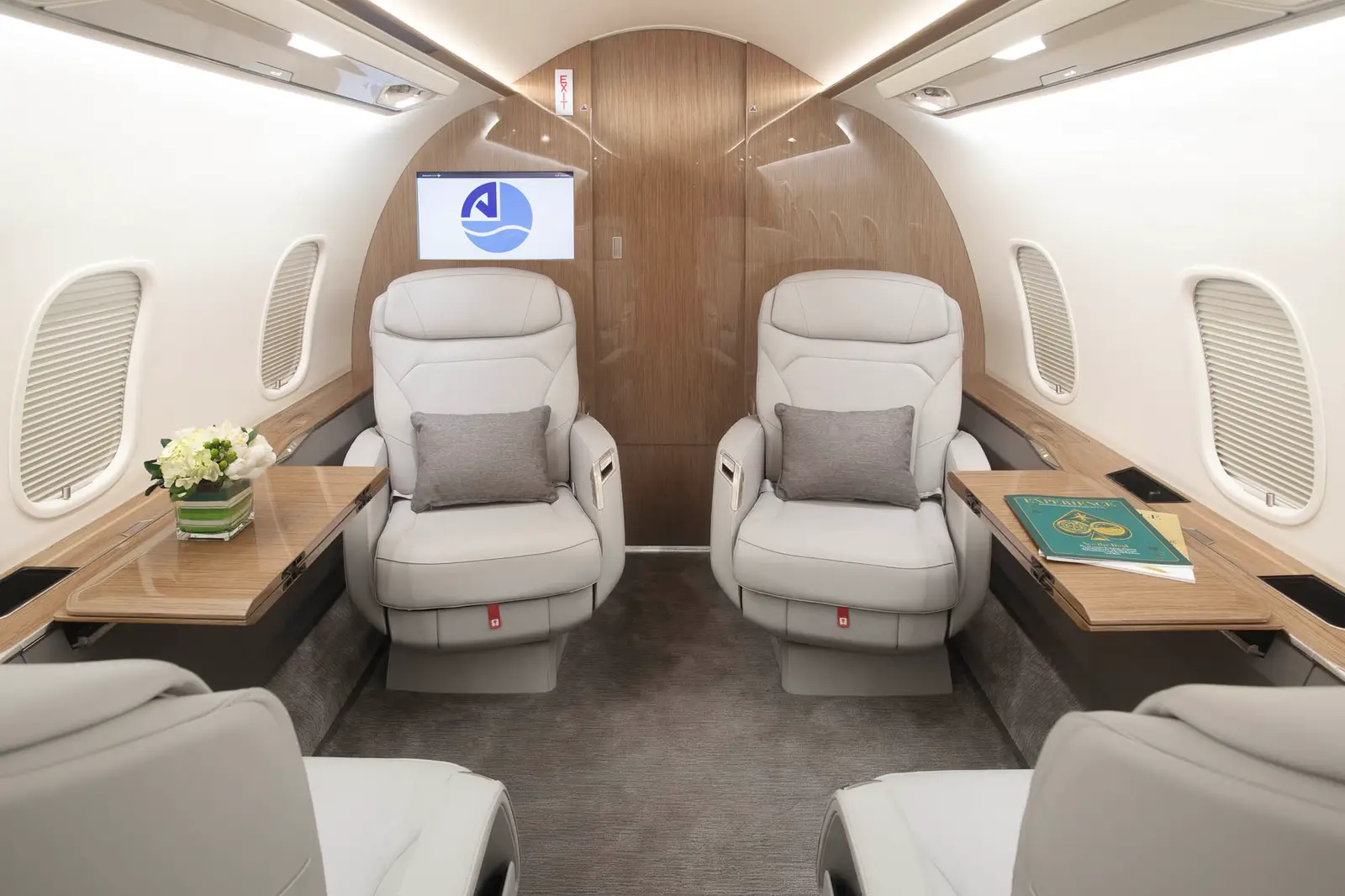 Bombardier Challenger 3500 TC-ARK operated by Arkasair Aviation & Trading S.A. photo 3