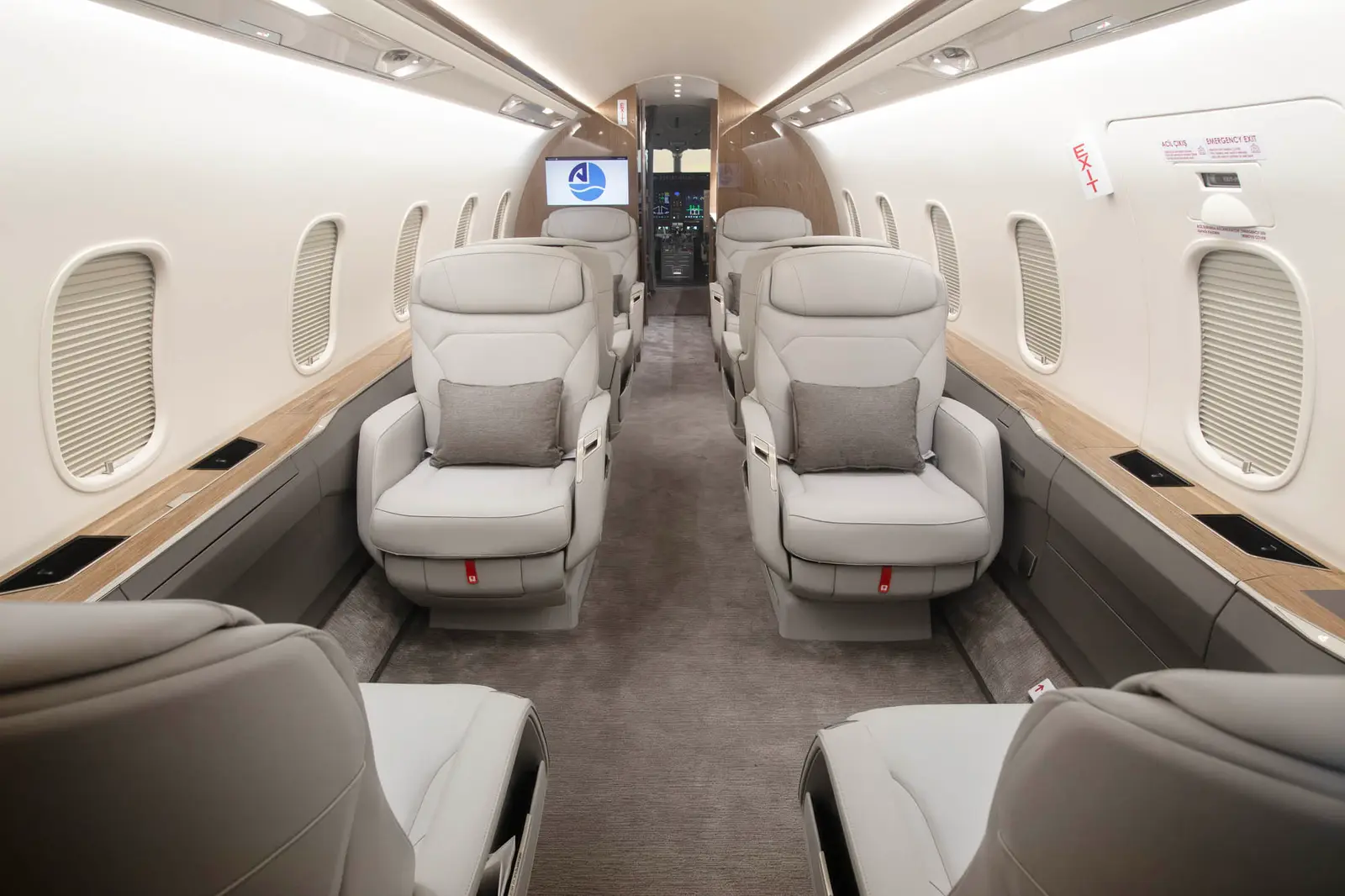Bombardier Challenger 3500 TC-ARK operated by Arkasair Aviation & Trading S.A. photo 6