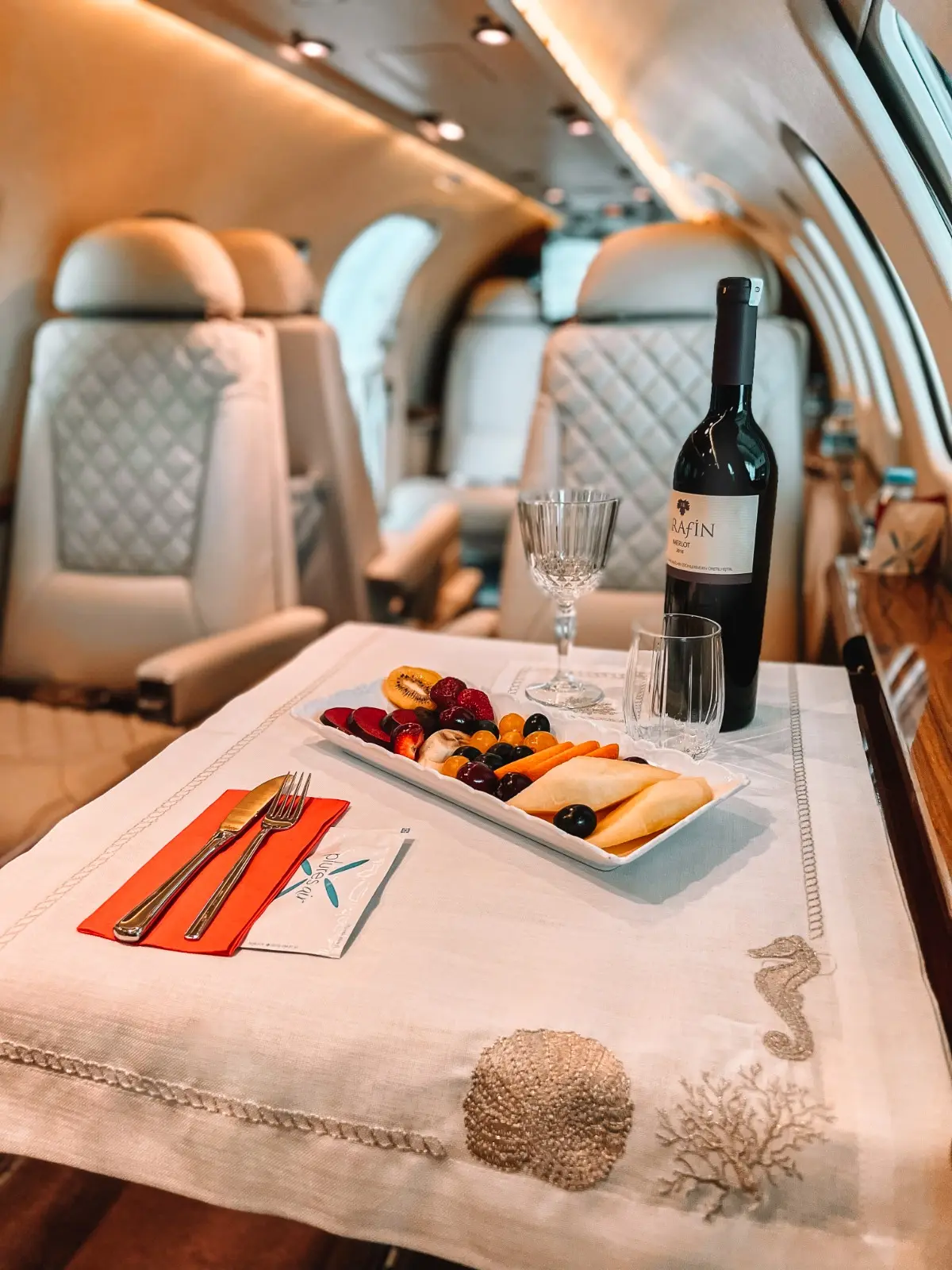 Cessna Citation V TC-LAA operated by Plures Aviation photo 2