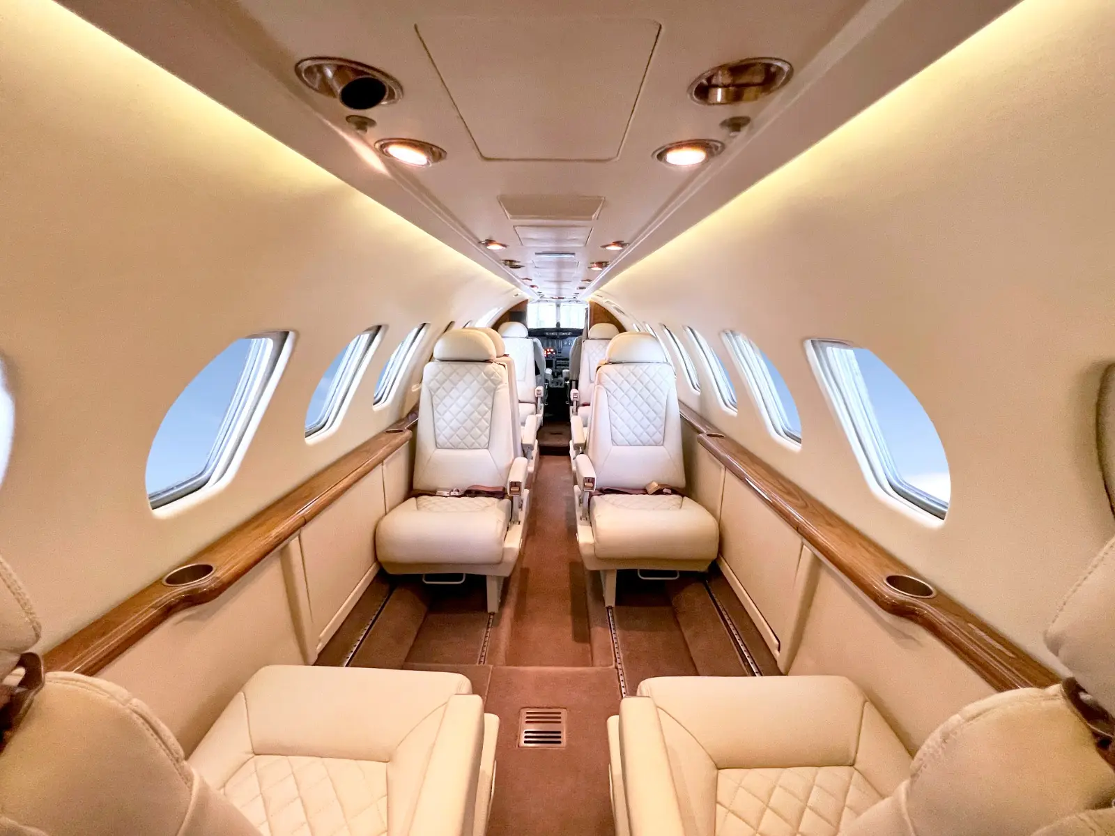 Cessna Citation V TC-LAA operated by Plures Aviation photo 5