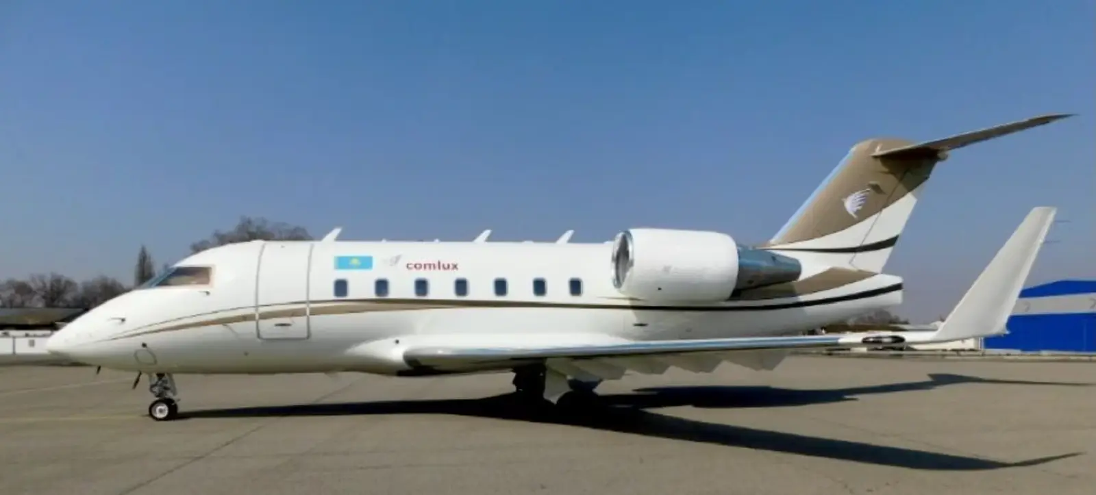 Bombardier Challenger 604 UP-CL602 operated by Comlux Aviation photo 2