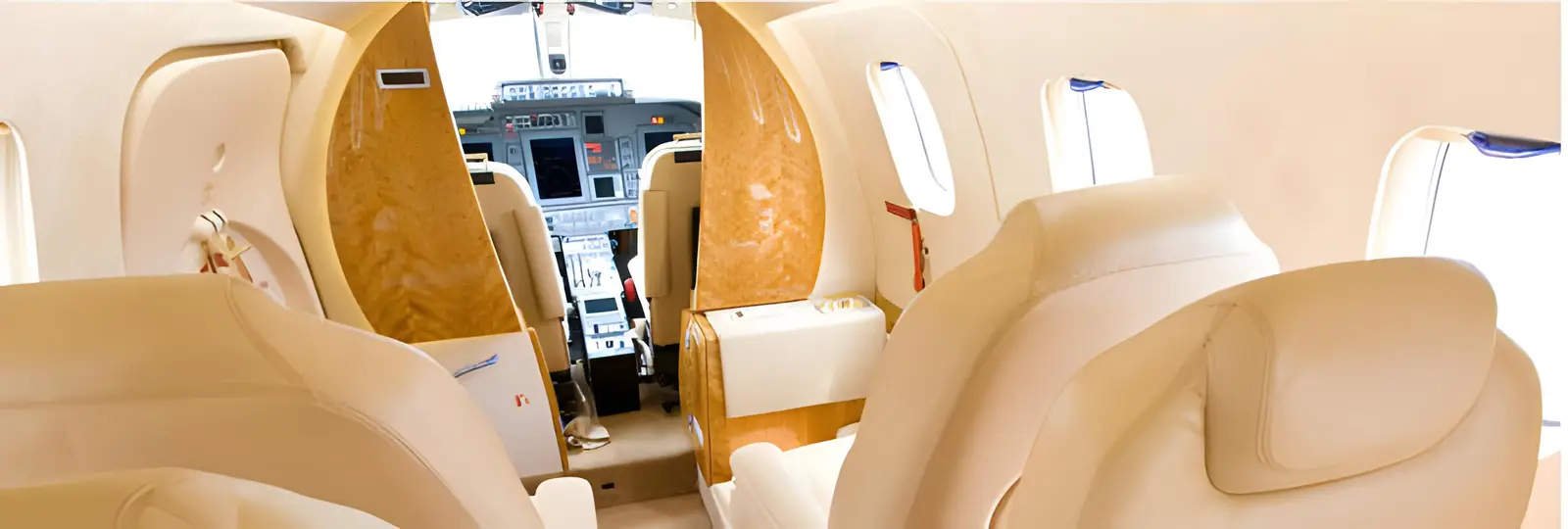 Piaggio Avanti VT-TET operated by Taj Air Ltd. photo 2