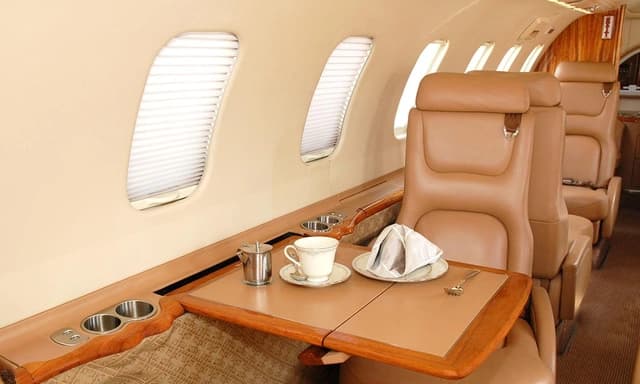 Learjet 45 N273LP photo 3