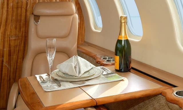 Learjet 45 N273LP photo 4