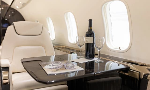 Challenger 350 N350NP photo 2