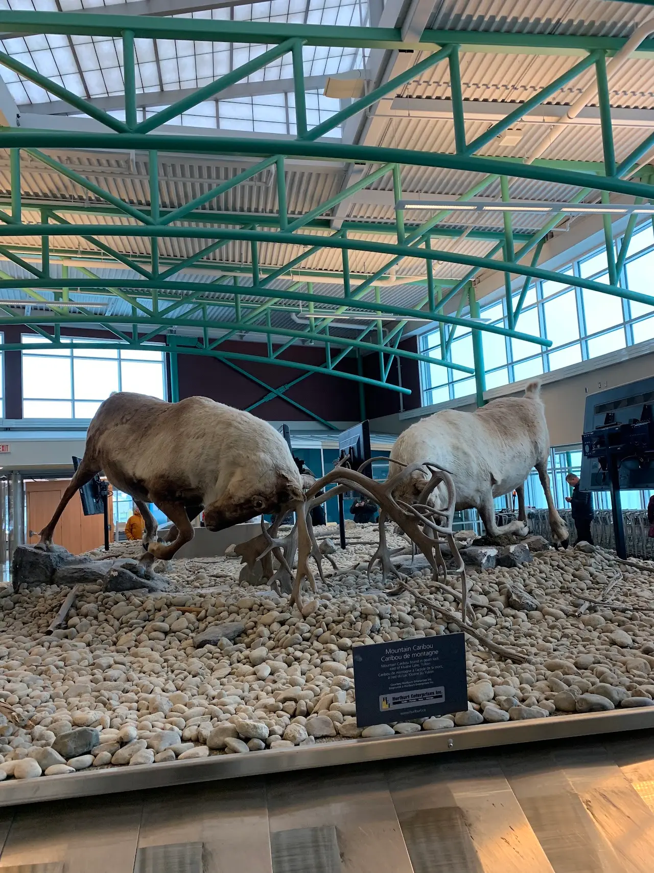 Whitehorse / Erik Nielsen International Airport (YXY), photo 2