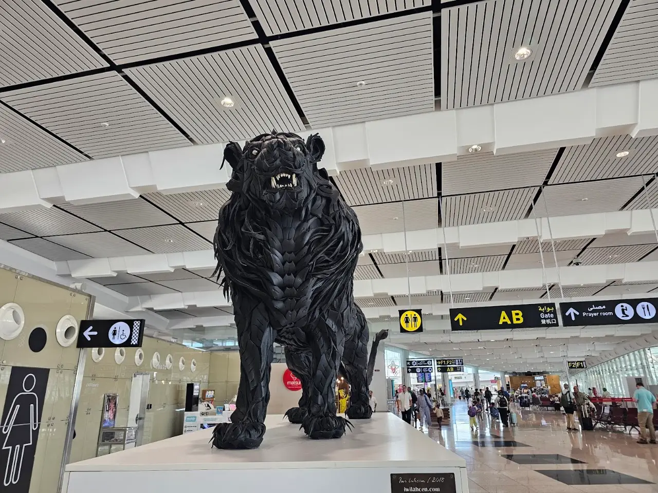 Mohammed V International Airport (CMN), photo 2