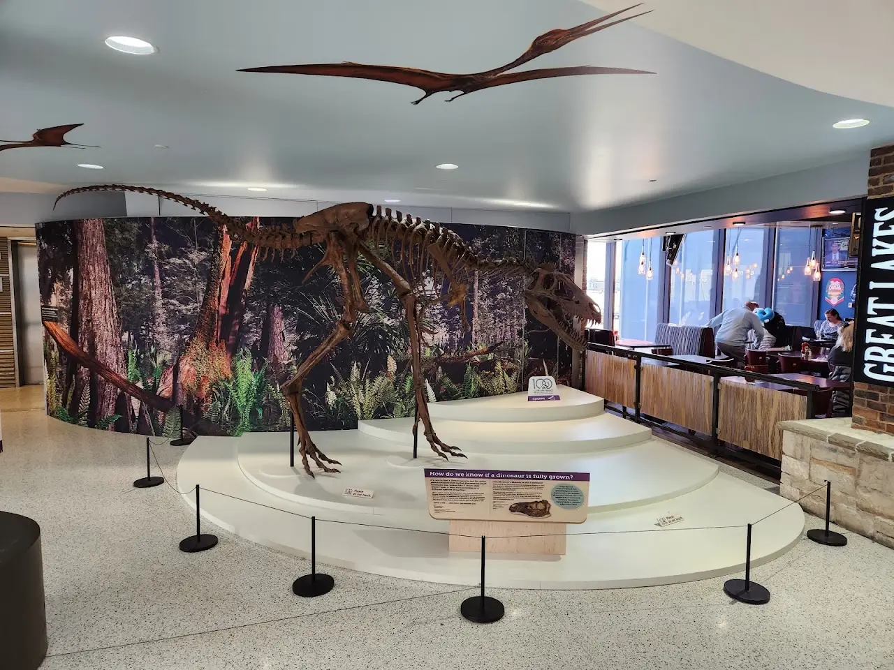 Cuyahoga County Airport (CGF), photo 4