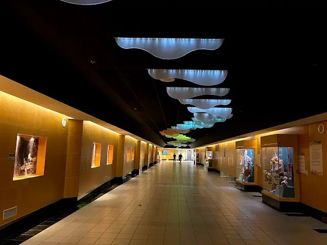 Ted Stevens Anchorage International Airport (ANC), photo 2