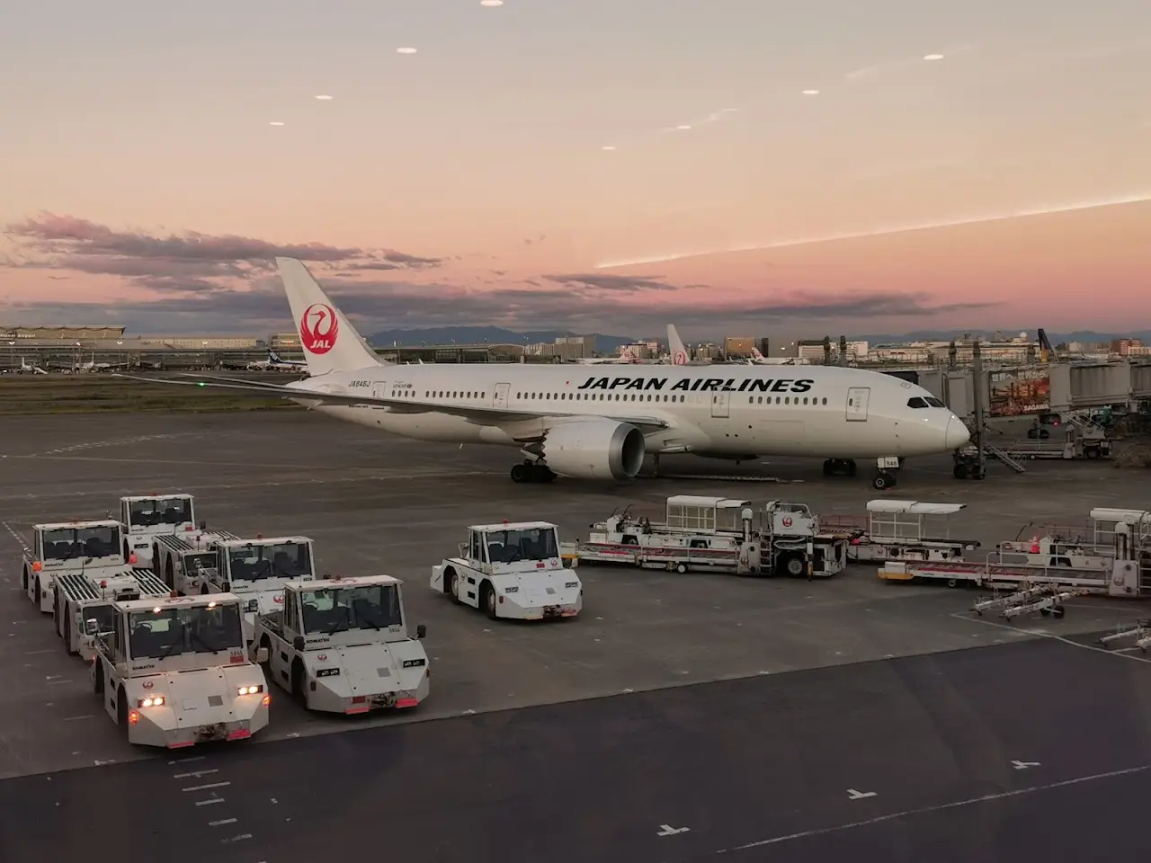 Tokyo Haneda International Airport (HND), photo 3