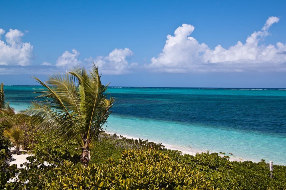 Grace Bay's white sand and turquoise shallows stretching along Providenciales coastline