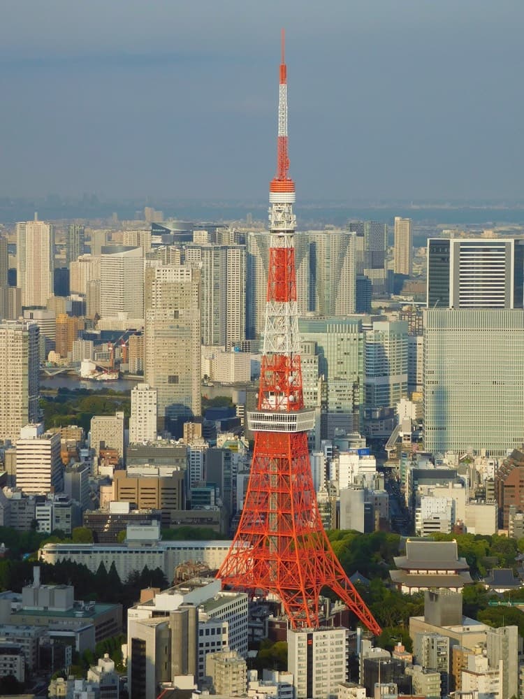 Tokyo's neon skyline sprawling toward a distant snow-capped Mount Fuji