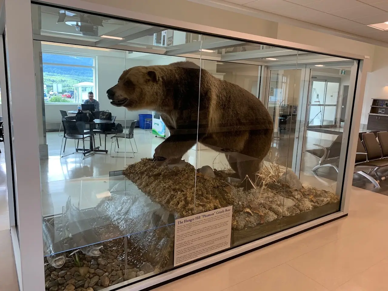 Smithers Airport