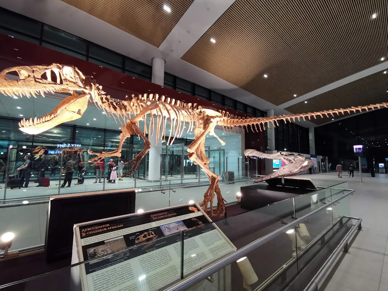 Diori Hamani International Airport