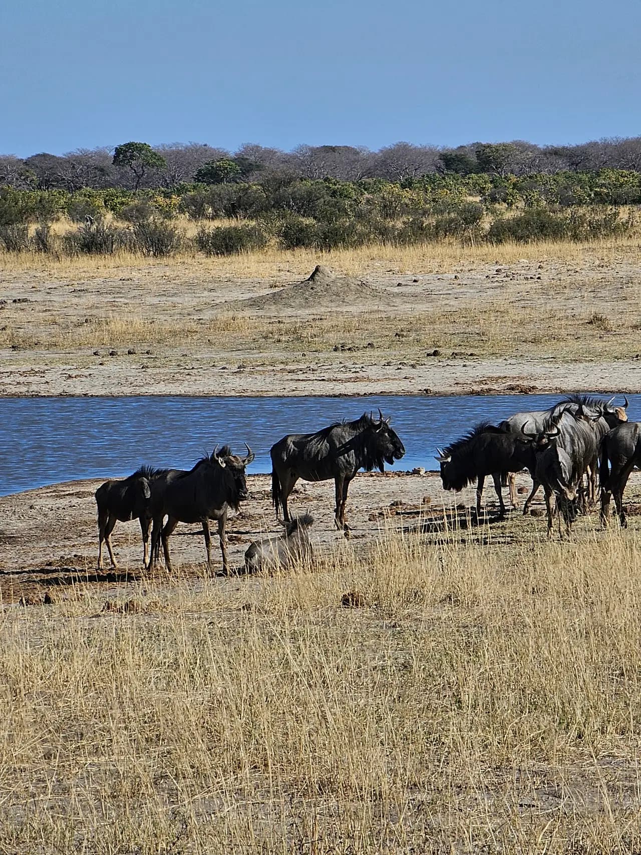 Hwange National Park Airport