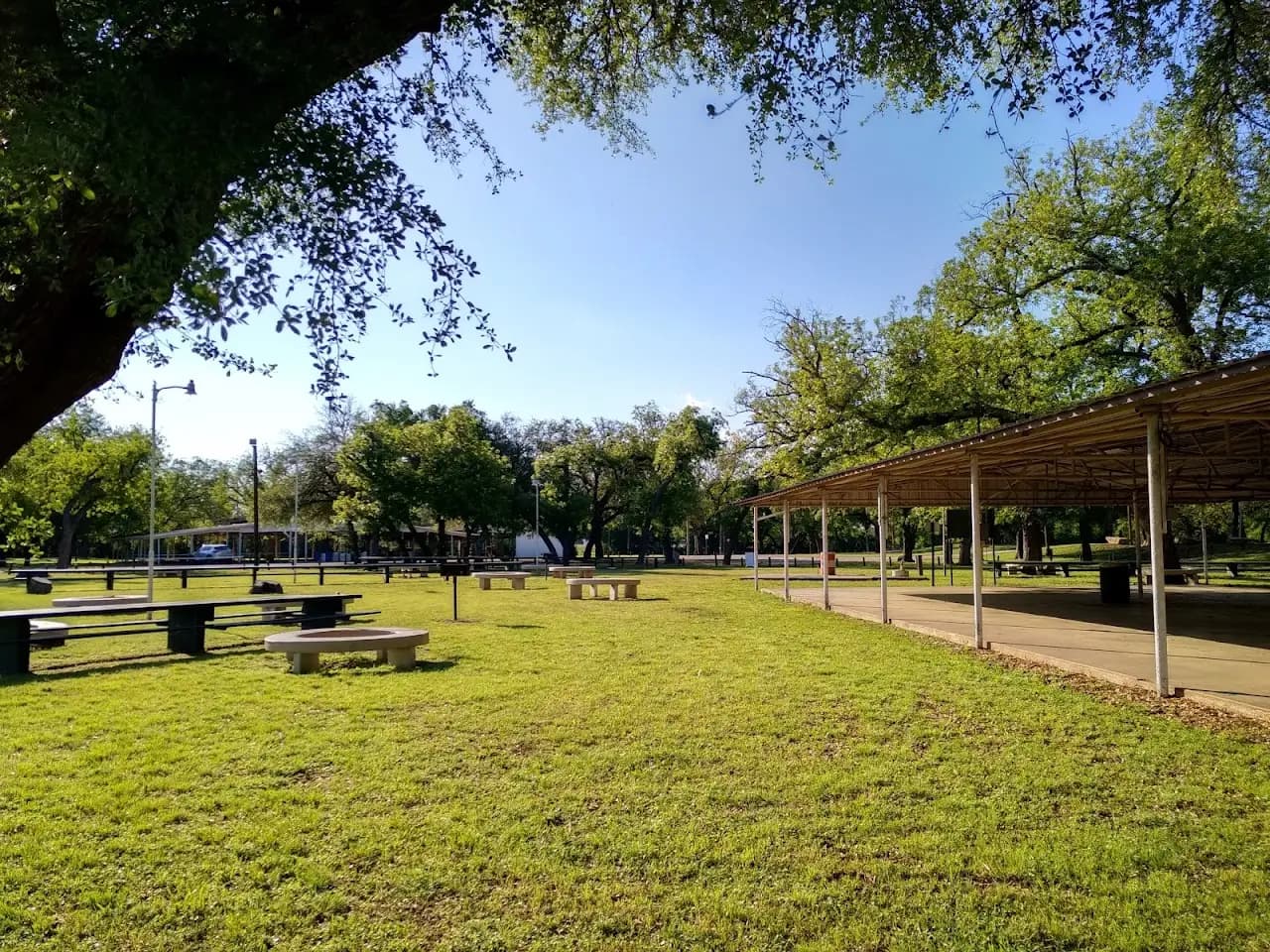 Curtis Field