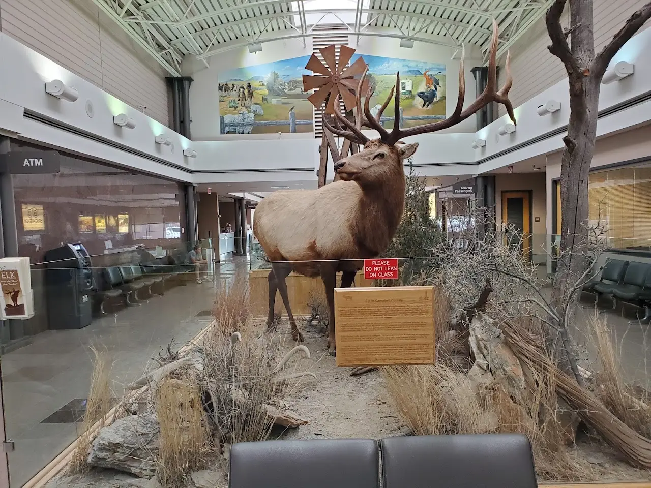 Northeast Wyoming Regional Airport