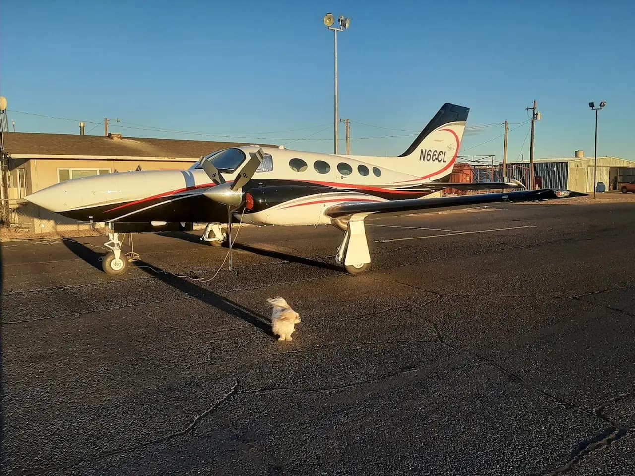 Socorro Municipal Airport