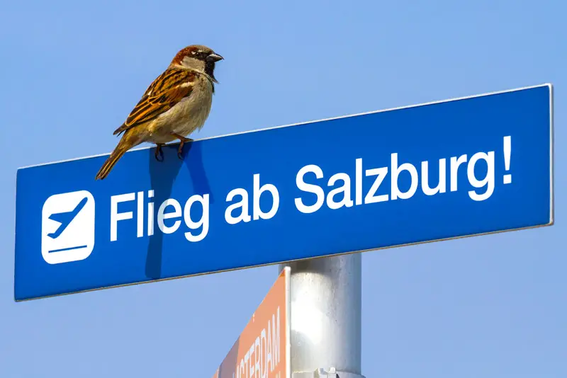 Salzburg Airport