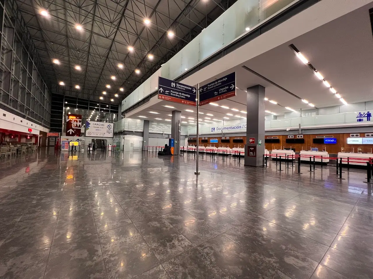 General Juan N. Álvarez International Airport