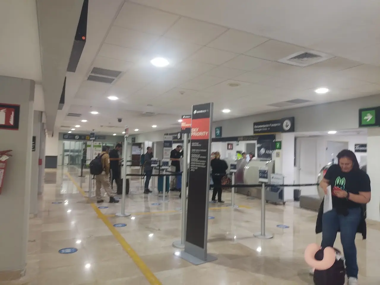 General Servando Canales International Airport