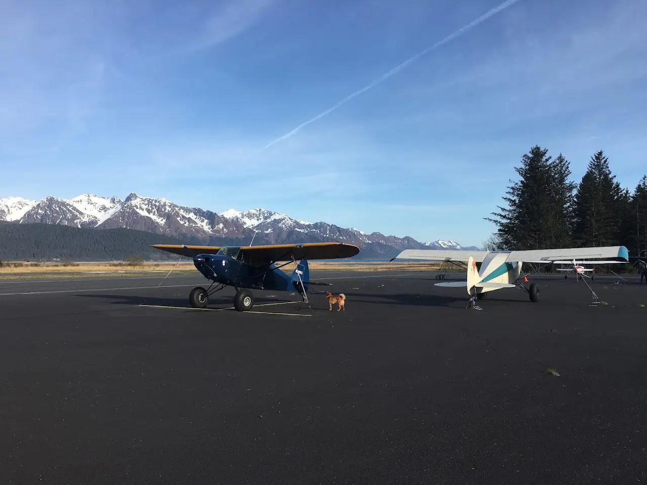 Seward Airport