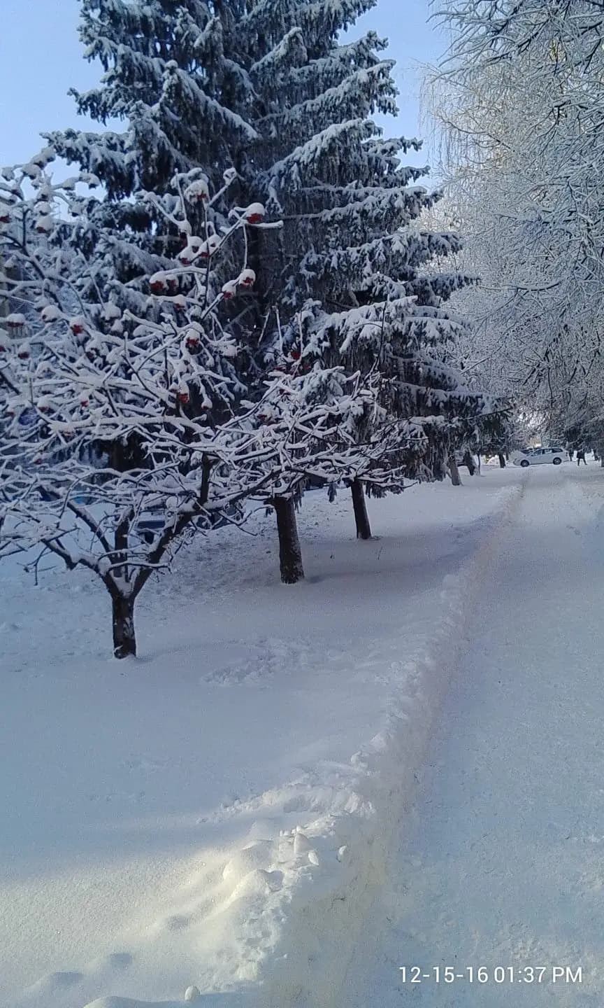 Rtishchevo Air Base