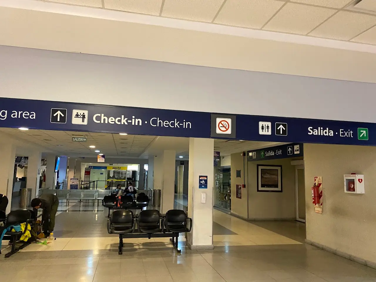 Gobernador Ramón Trejo Noel International Airport