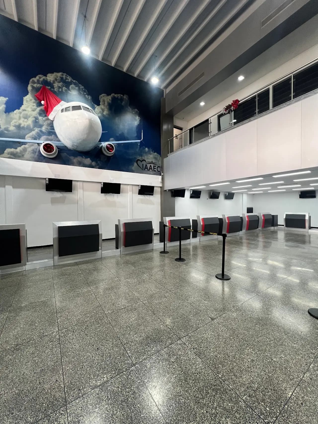 Arturo Michelena International Airport