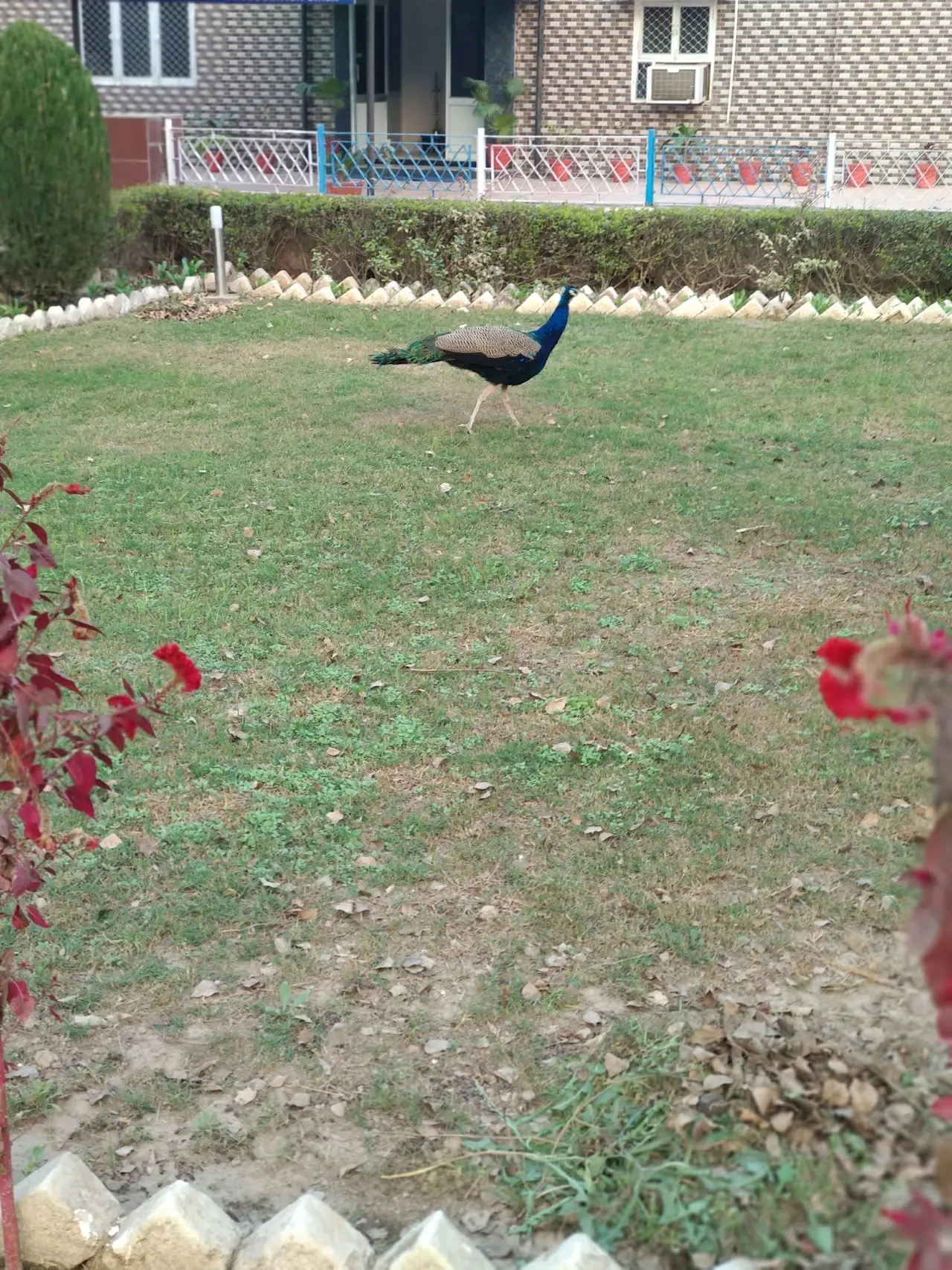 Sirsa Air Force Station