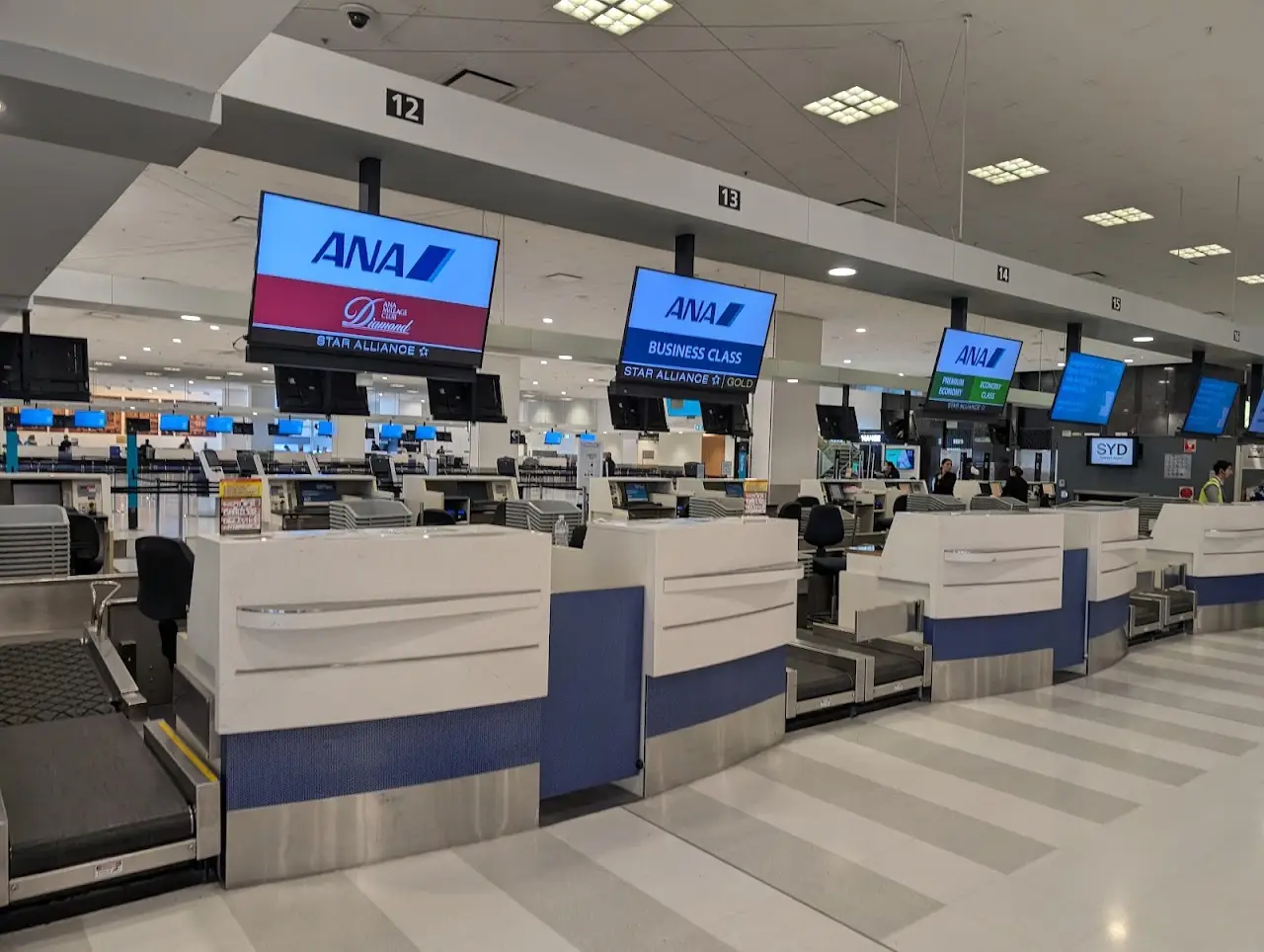 Sydney Kingsford Smith International Airport