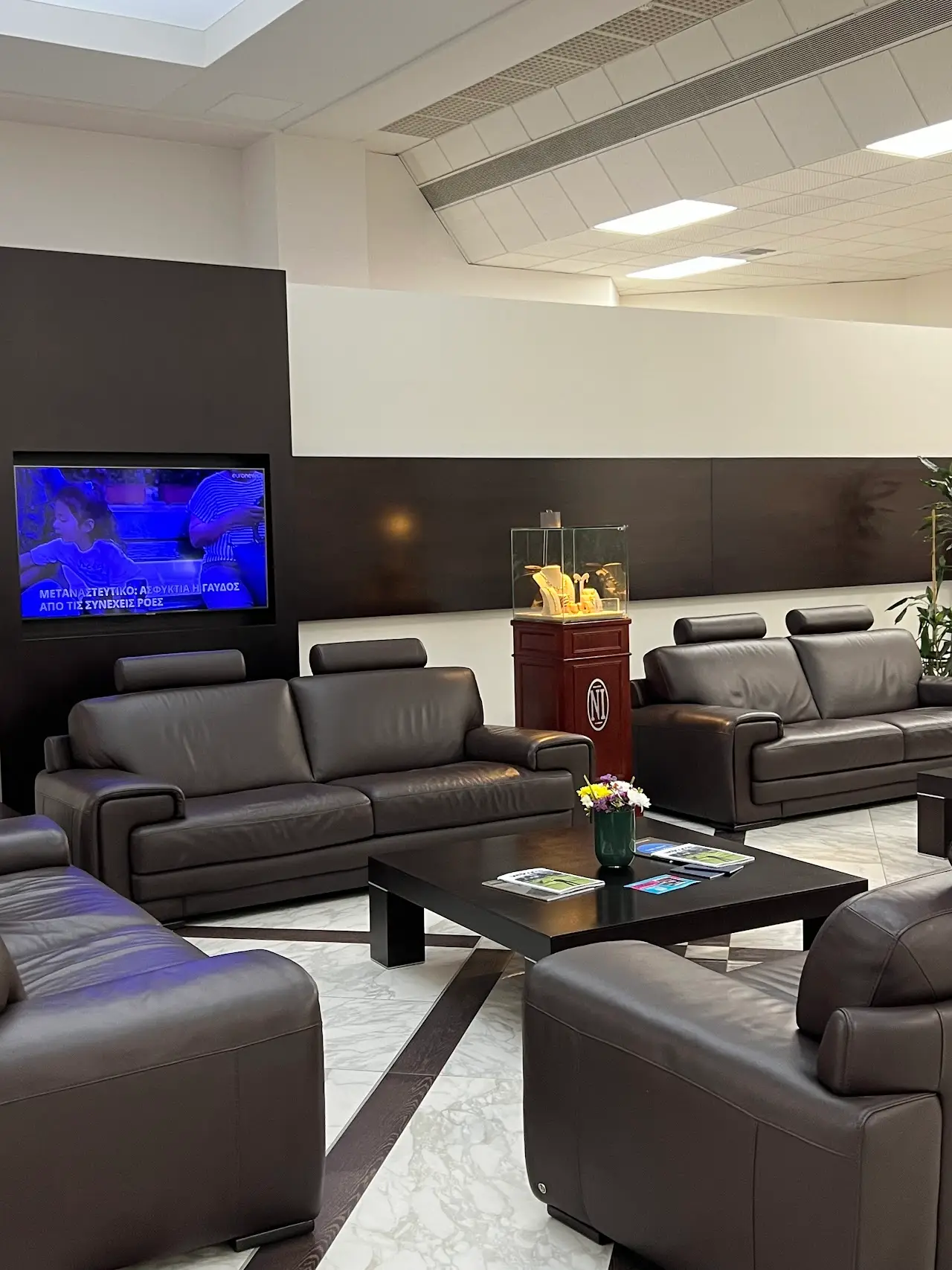 Skylink Services