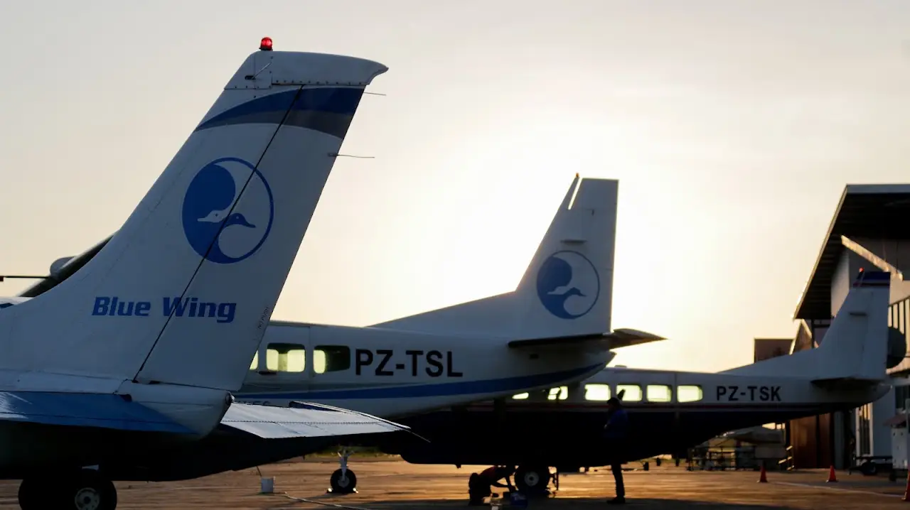 Blue Wing Airlines