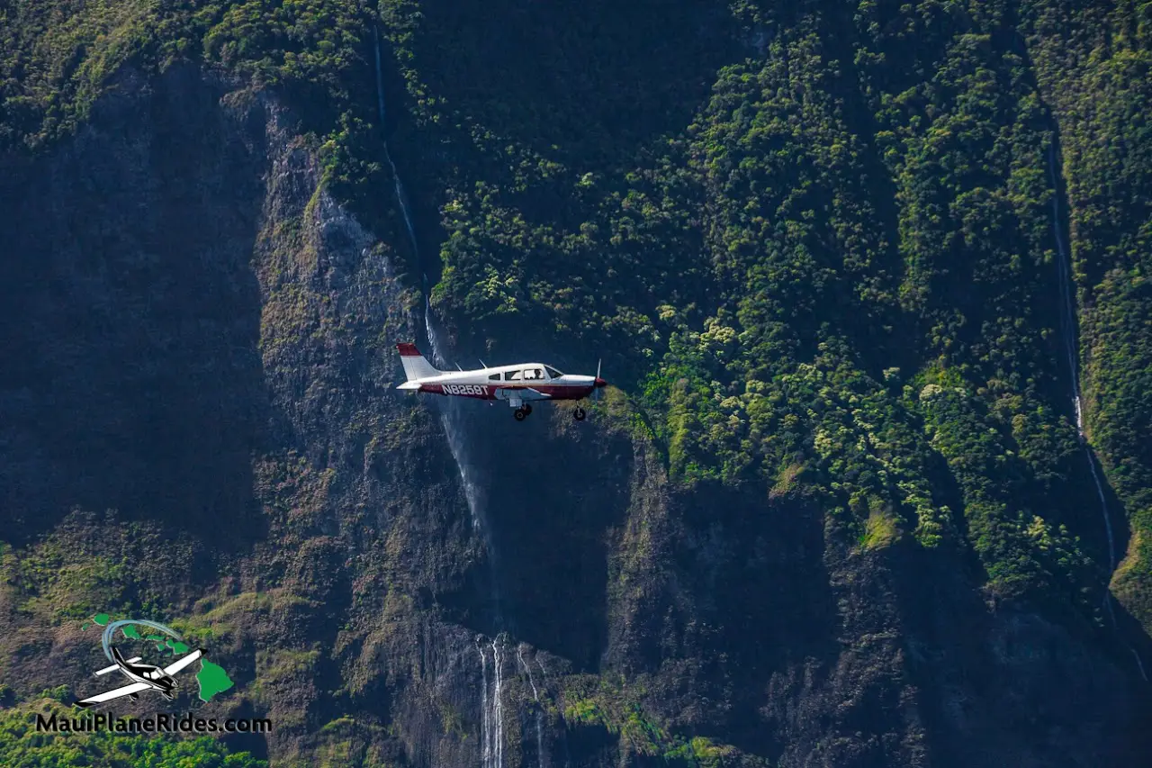 Roam Maui