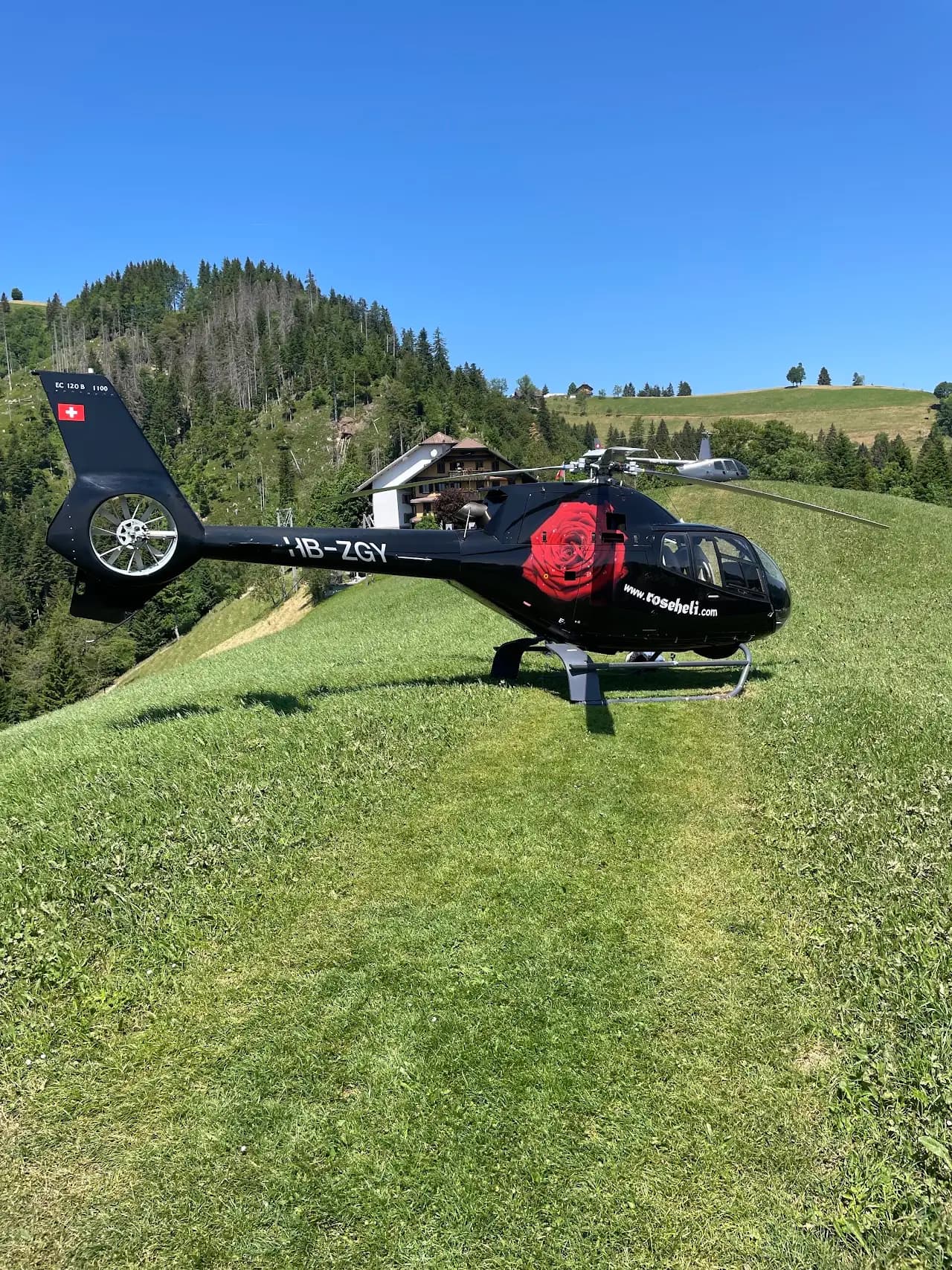 Rose Helicopter